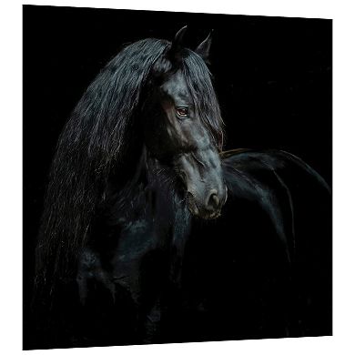 Empire Art Direct Black Equine Attraction Frameless Wall Art