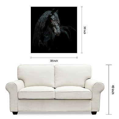 Empire Art Direct Black Equine Attraction Frameless Wall Art