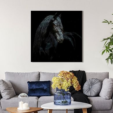 Empire Art Direct Black Equine Attraction Frameless Wall Art