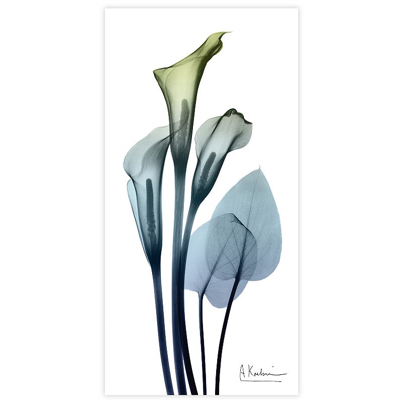 Empire Art Direct Calia Lily Frameless Free Floating Tempered Glass Panel Graphic Flower Wall Art  24  x 48  x 0.2   Ready to Hang