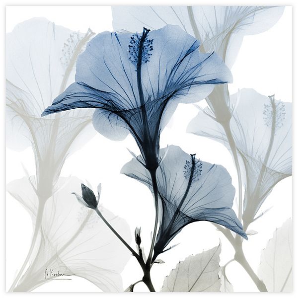 Empire Art Direct Blue Xray Floral Tempered Frameless Glass Wall Art