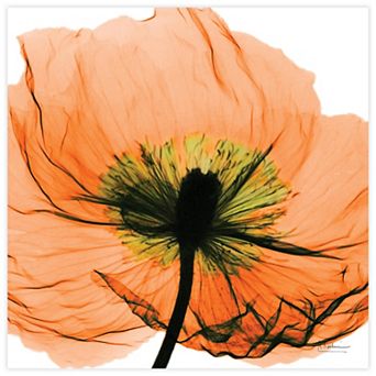 Empire Art Direct Poppy Orange Tempered Frameless Wall Art