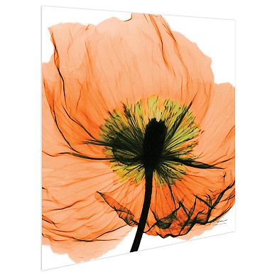 Empire Art Direct Poppy Orange Tempered Frameless Wall Art