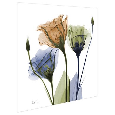 Empire Art Direct Gentian Buddies Tempered Frameless Glass Wall Art