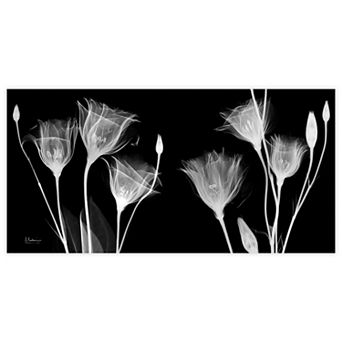 Empire Art Direct Gentian X-ray Tempered Frameless Glass Wall Art