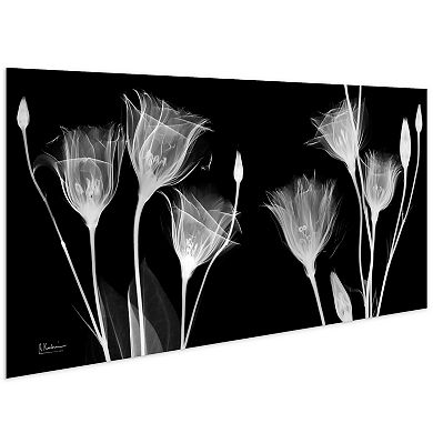 Empire Art Direct Gentian X-ray Tempered Frameless Glass Wall Art