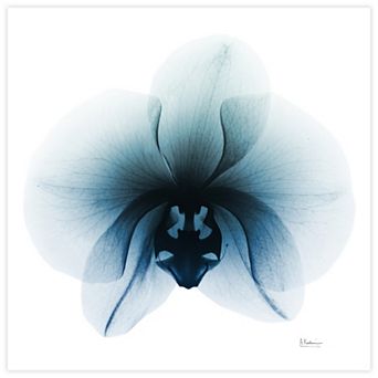 Empire Art Direct Glacial Orchid Tempered Frameless Glass Wall Art
