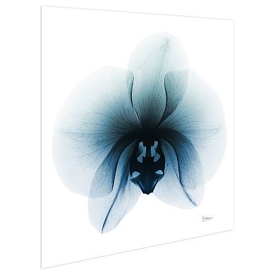 Empire Art Direct Glacial Orchid Tempered Frameless Glass Wall Art