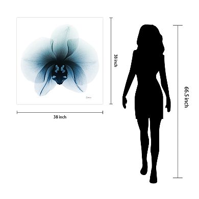 Empire Art Direct Glacial Orchid Tempered Frameless Glass Wall Art