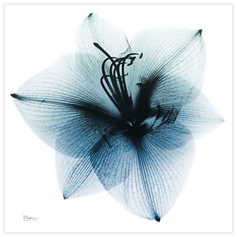 Empire Art Direct Glacial Amaryllis Tempered Frameless Glass Wall Art