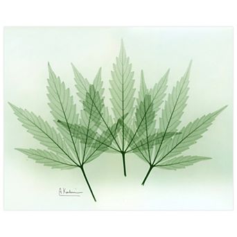 Empire Art Direct Green Flower Tempered Frameless Glass Wall Art