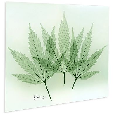 Empire Art Direct Green Flower Tempered Frameless Glass Wall Art