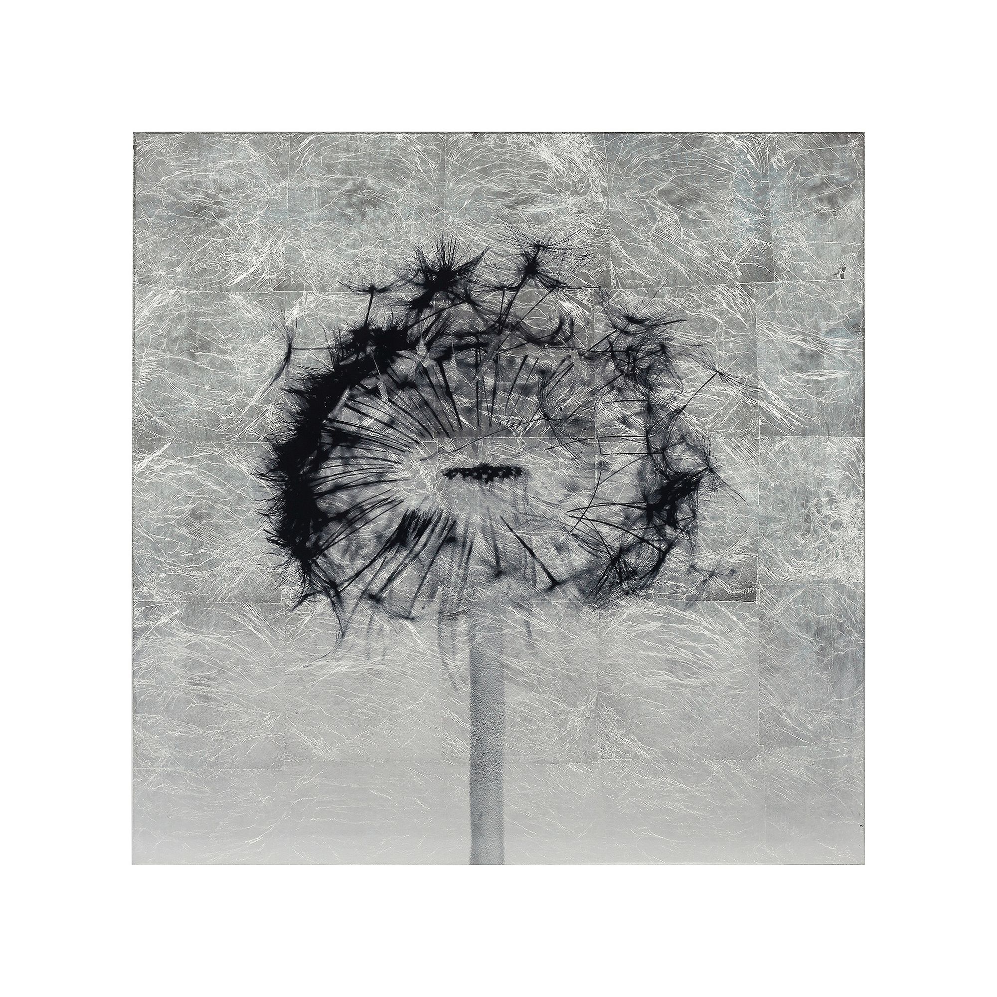 Empire Art Direct Dandelion Tempered Glass with Silver Leaf, Multi