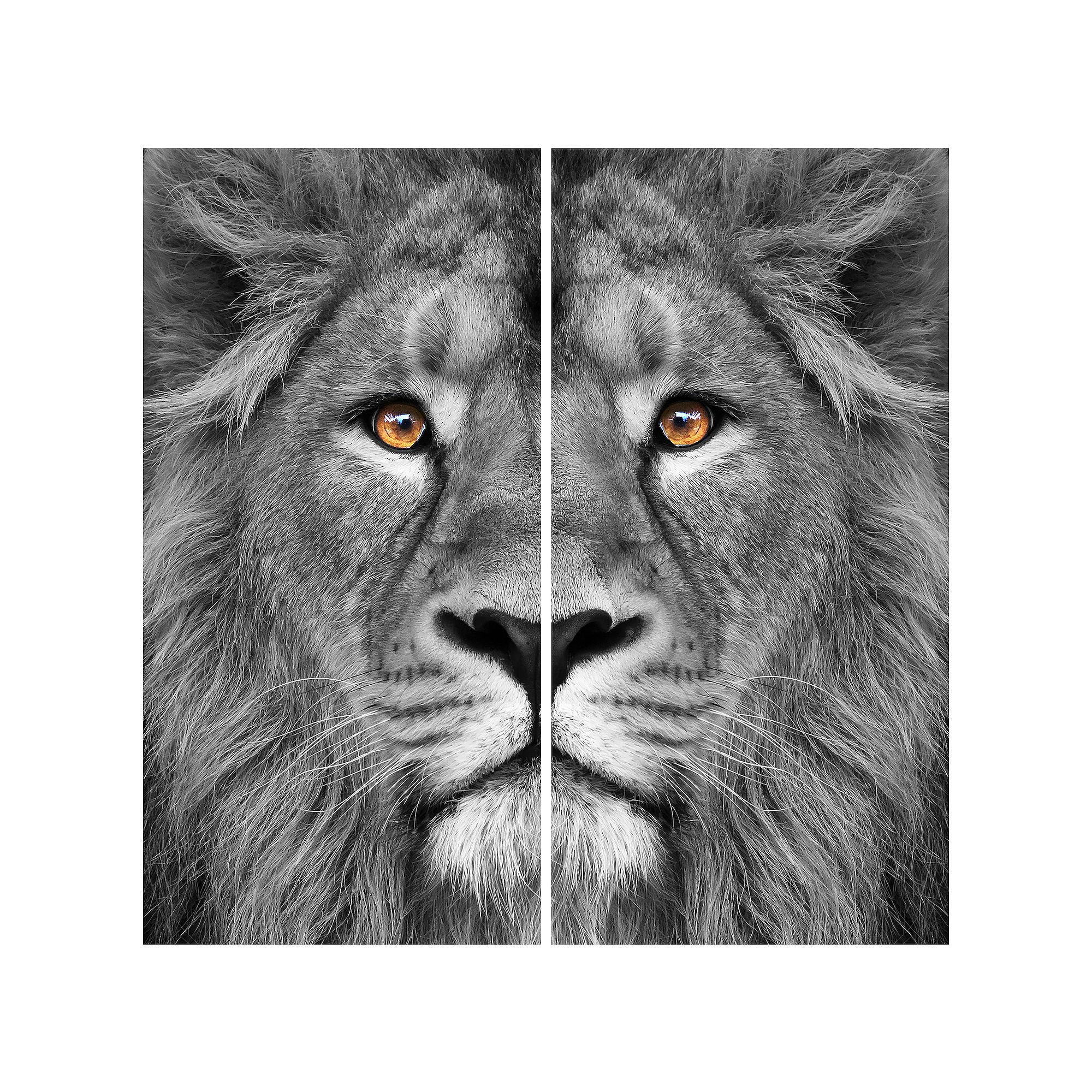 Empire Art Direct King of the Jungle AB Frameless Free-Floating Temper
