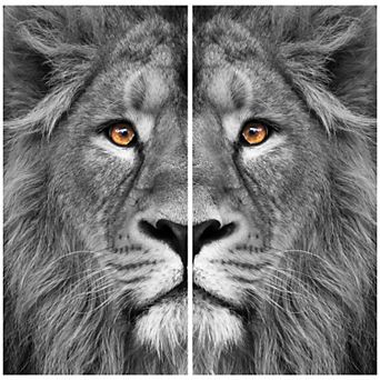 Empire Art Direct "King of the Jungle AB" Frameless Free-Floating Tempered Glass Panel Graphic Wall Art