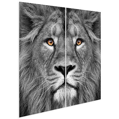 Empire Art Direct King of the Jungle AB Frameless Free-Floating Tempered Glass Panel Graphic Wall Art