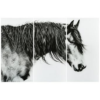 Empire Art Direct "Black and White Horse Portrait III ABC" Frameless Free-Floating Tempered Glass Panel Graphic Wall Art 3 pc Set