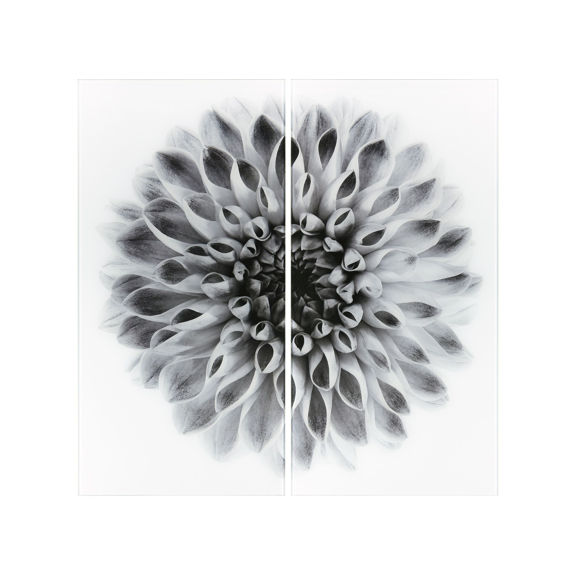 Empire Art Direct Dahlia AB Frameless Free-Floating Tempered Glass Pan
