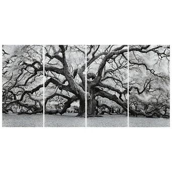 Empire Art Direct "The Angel Oak ABCD" Frameless Free-Floating Tempered Glass Panel Graphic Wall Art 4 pc Set