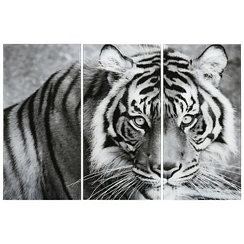 Empire Art Direct Tiger ABC Glass Wall Art 3 pc Set