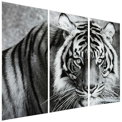 Empire Art Direct Tiger ABC Glass Wall Art 3-piece Set
