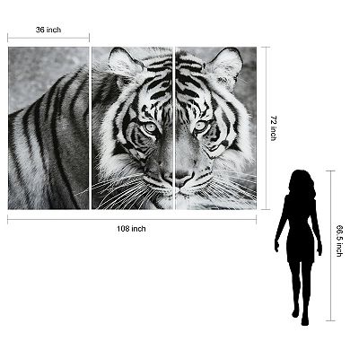 Empire Art Direct Tiger ABC Glass Wall Art 3-piece Set
