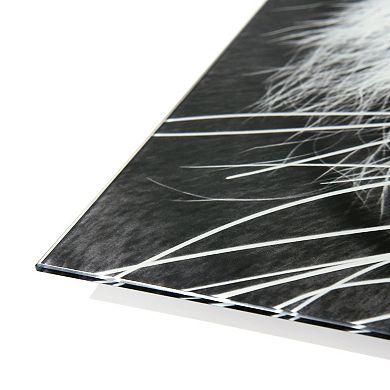 Empire Art Direct Tiger ABC Glass Wall Art 3-piece Set