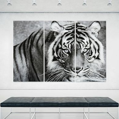 Empire Art Direct Tiger ABC Glass Wall Art 3-piece Set