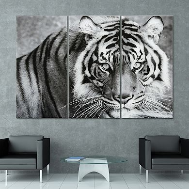 Empire Art Direct Tiger ABC Glass Wall Art 3-piece Set