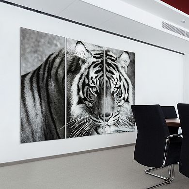 Empire Art Direct Tiger ABC Glass Wall Art 3-piece Set