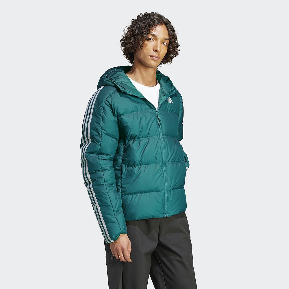 Men's adidas Essentials Midweight Down Hooded Jacket