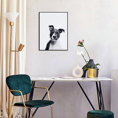 Empire Art Direct Pitbull Framed Wall Art
