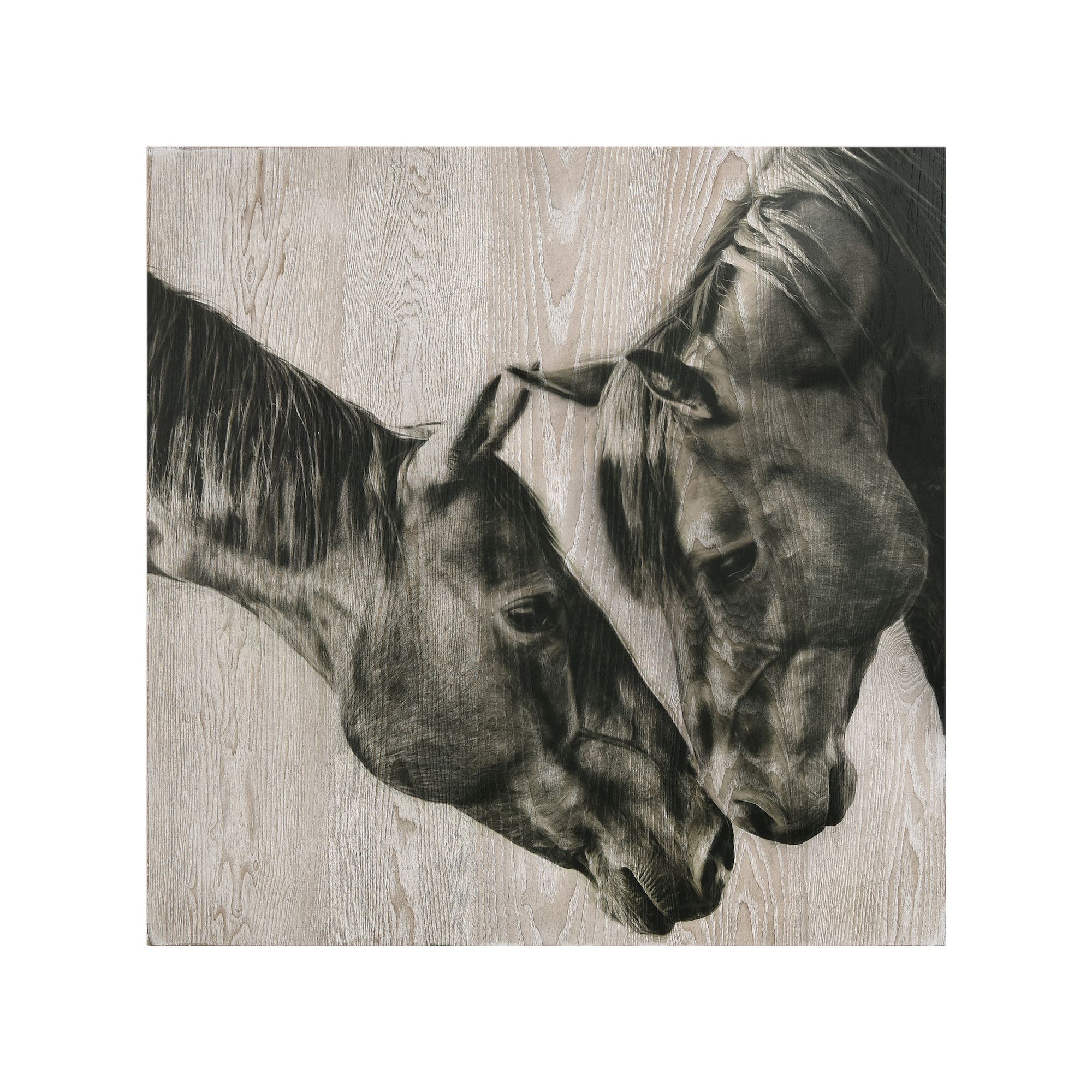 Empire Art Direct Horse Love Portrait Wood Wall Art, Multi