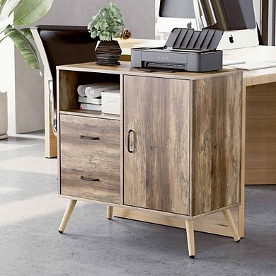 Year Color Rustic Storage Cabinet with 2 Drawers, Door, Shelf Accent, and Metal Base for Bedroom, Living Room, Entryway, and Home Office