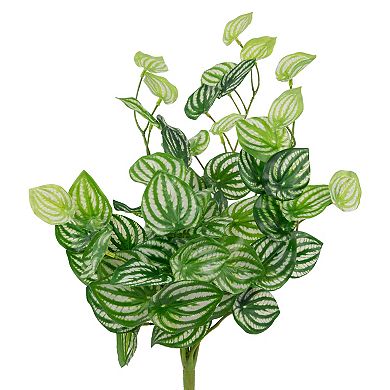 16" Large Peperomia Watermelon Leaves Artificial Plant