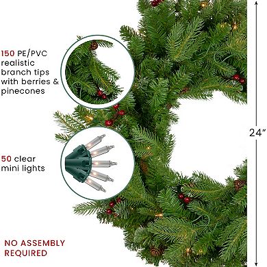 Pre-Lit Mixed Winter Berry Pine Artificial Christmas Wreath - 24-Inch Clear Lights