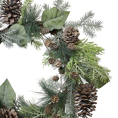Pine Cone and Cedar Artificial Christmas Wreath - 20-Inch Unlit