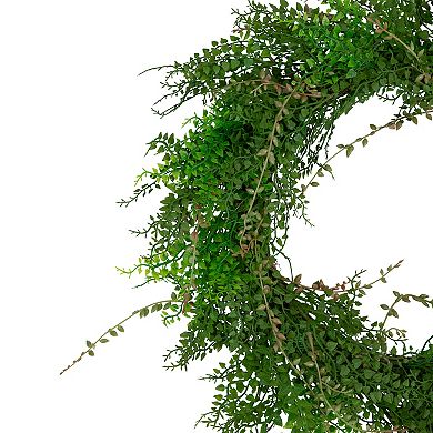 Mixed Boxwood and Berry Artificial Wreath 24-Inch Unlit