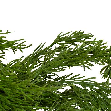 24" Soft Green Cedar Artificial Christmas Wreath with Pine Cones - Unlit
