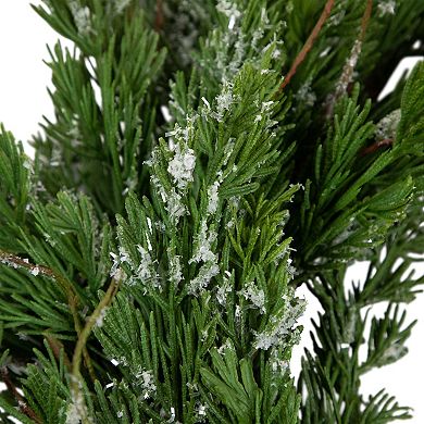 24" Iced Cedar Artificial Christmas Wreath - Unlit