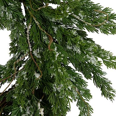 24" Iced Cedar Artificial Christmas Wreath - Unlit