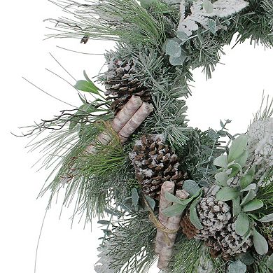 24” Artificial Frosted Pine  Birch Scrolls and Pine Cone Christmas Wreath - Unlit