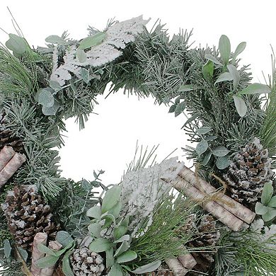 24” Artificial Frosted Pine Birch Scrolls and Pine Cone Christmas Wreath - Unlit