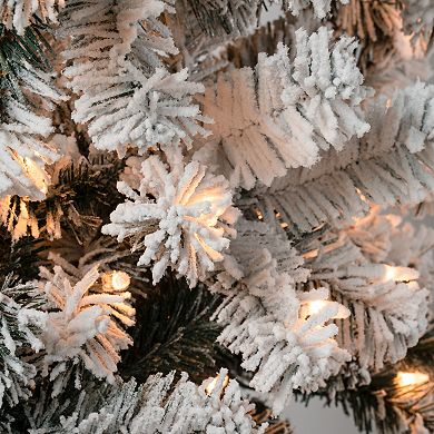 National Tree Company Pre-Lit First Traditions 5.5-ft. Acacia Flocked Artificial Christmas Tree