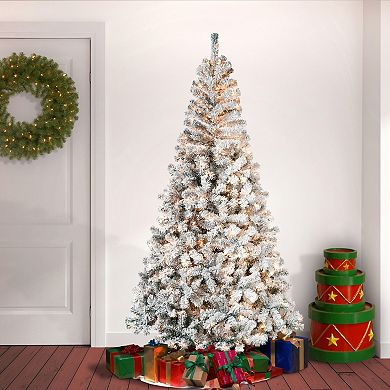 National Tree Company First Traditions Pre-Lit 7-ft. Acacia Flocked Artificial Christmas Tree