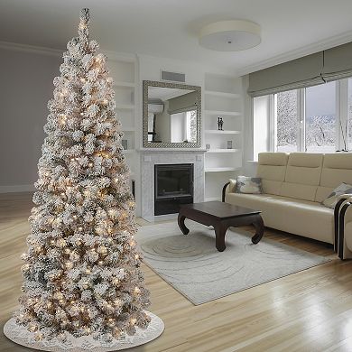 National Tree Company Pre-Lit First Traditions 5.5' x 2.3' Acacia Flocked Artificial Christmas Tree