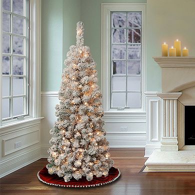 National Tree Company First Traditions 4-ft. Acacia Pencil Slim Pre-Lit Flocked Artificial Christmas Tree