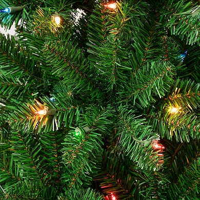 National Tree Company First Traditions Pre-Lit Multi-Color 5.5-ft. Rowan Pencil Slim Artificial Christmas Tree