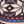 Brown Multi
