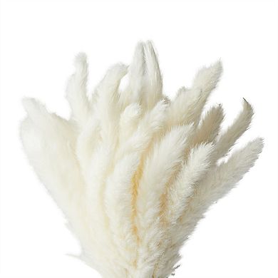 White Natural Dried Pampas Grass with Ceramic Vase, 40 Bundles (16 Inches)